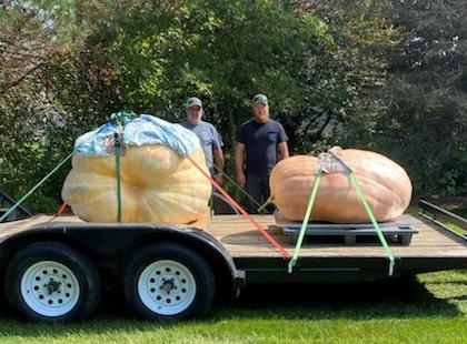 How to Grow a Giant Pumpkin - image