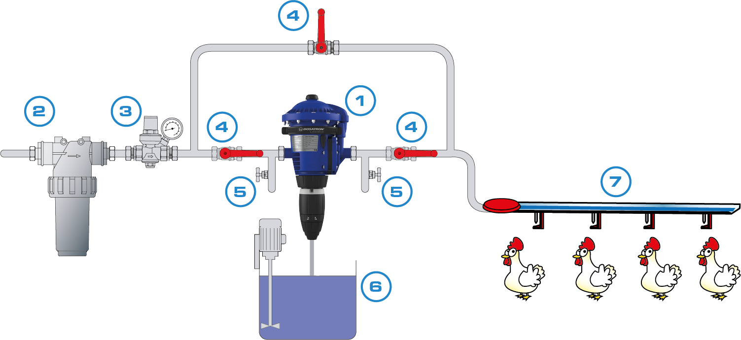 Recommended Installation for poultry supplementation