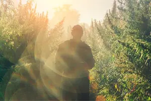 Hemp, the Alternative Crop