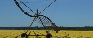 Field Crop Cultivation