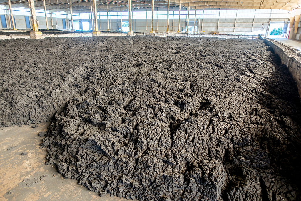 Sludge Dewatering - Sludge at the end of the process