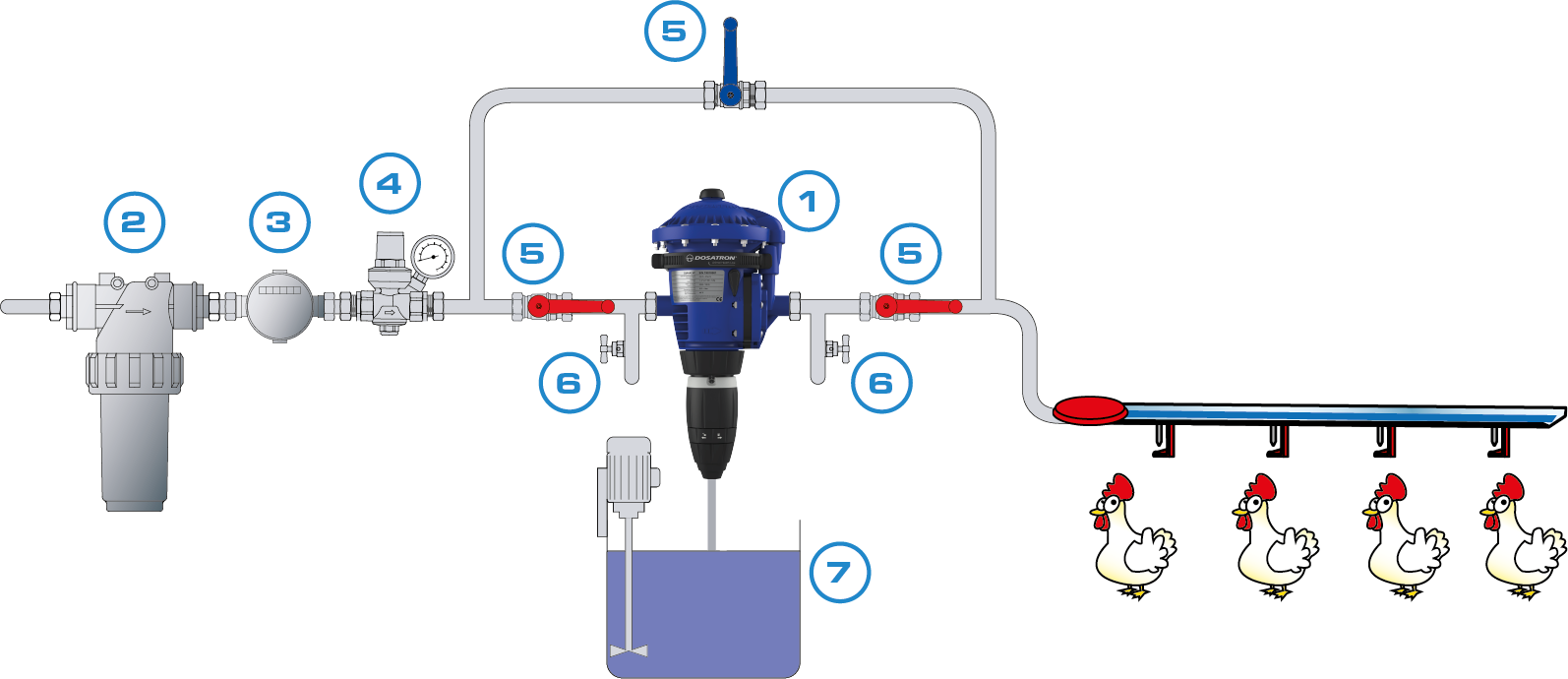 poultry medication recommended installation