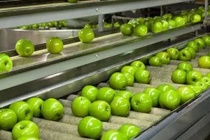 HIGIENE Y SEGURIDAD DE LOS ALIMENTOS